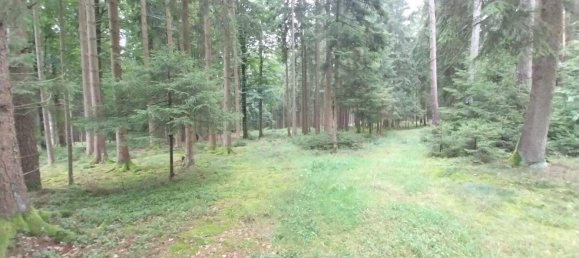 Terrain à Neustadt an der Waldnaab, Germany No. 290209 10