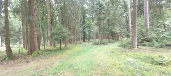 Terrain à Neustadt an der Waldnaab, Germany No. 290209 9