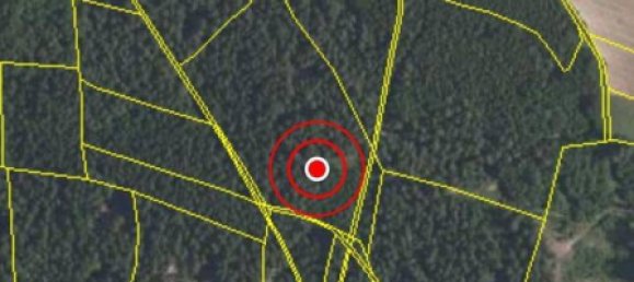 Terrain à Neustadt an der Waldnaab, Germany No. 290209 12