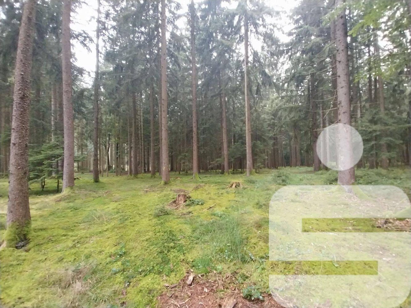 Terrain à Neustadt an der Waldnaab, Germany No. 290209