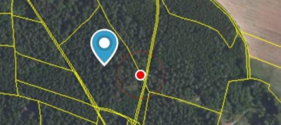 Terrain à Neustadt an der Waldnaab, Germany No. 290209 7