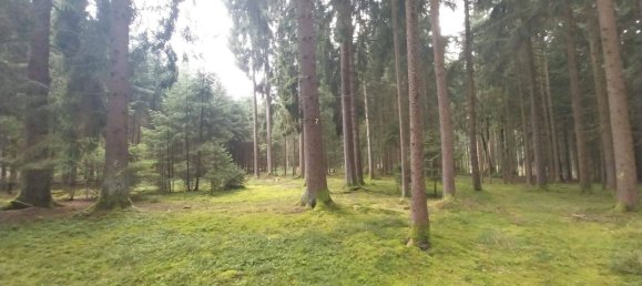 Terrain à Neustadt an der Waldnaab, Germany No. 290209 13