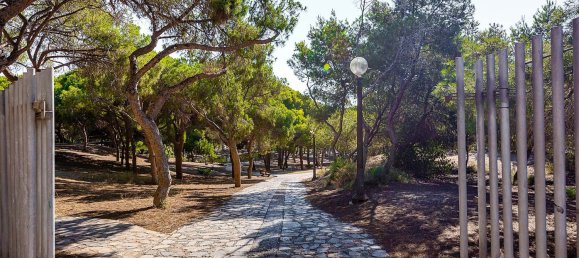 3 bedrooms Apartment in Guardamar del Segura, Spain No. 16500 21