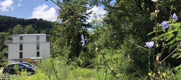 3 Schlafzimmer Wohnung in Freiburg im Breisgau, Germany, Nr. 238429 4