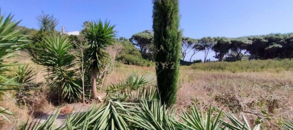 2659m² Land in Cascais, Portugal No. 144354 7