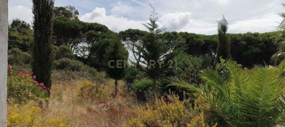 2659m² Land in Cascais, Portugal No. 144354 13