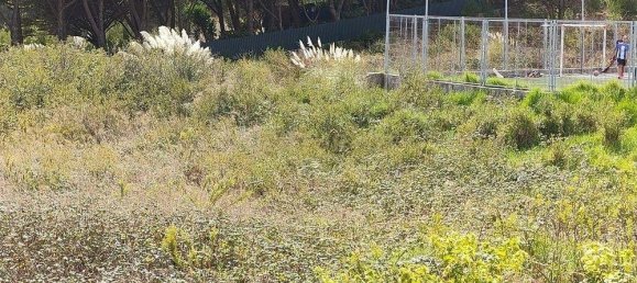 2659m² Land in Cascais, Portugal No. 144354 16