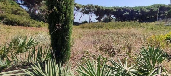 2659m² Land in Cascais, Portugal No. 144354 5
