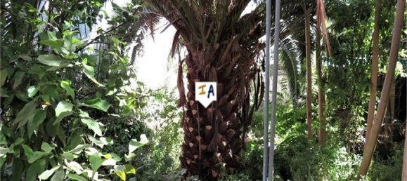 6 bedrooms House in Andalusia, Spain No. 158805 4