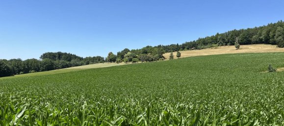 6-Zimmer Bauernhof in Rottal-Inn, Germany, Nr. 226100 33