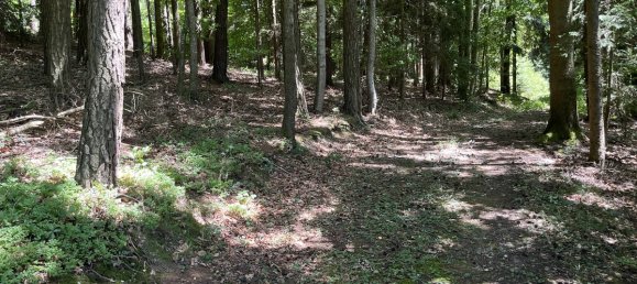 6-Zimmer Bauernhof in Rottal-Inn, Germany, Nr. 226100 36