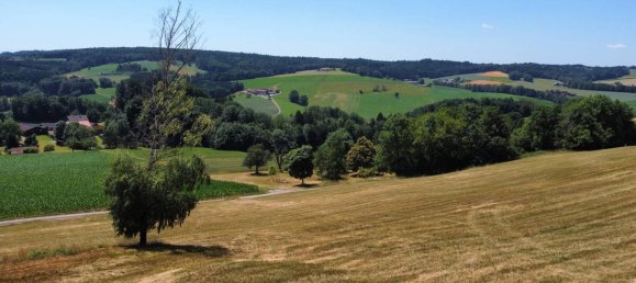 6-Zimmer Bauernhof in Rottal-Inn, Germany, Nr. 226100 34