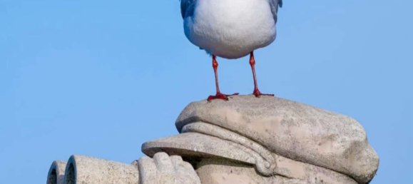 3غرفة تاون هاوس في Aurich, Germany رقم 228814 17