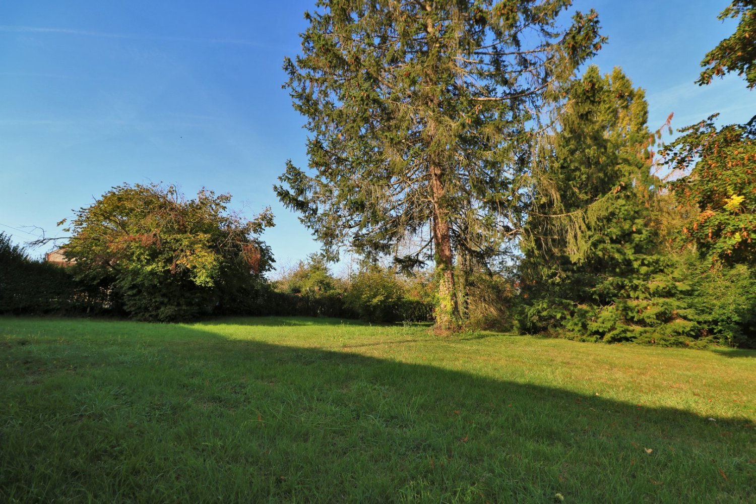  قطعة أرض في Varennes-Changy, France رقم 88614