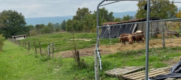 15 rooms House in Sinalunga, Italy No. 86813 13