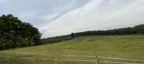 15 rooms House in Sinalunga, Italy No. 86813 19