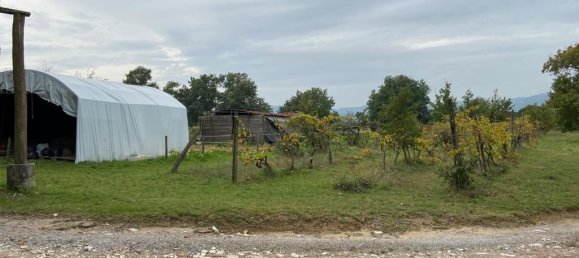 15 rooms House in Sinalunga, Italy No. 86813 5