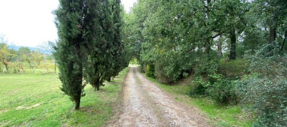 15 rooms House in Sinalunga, Italy No. 86813 4