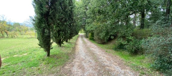 15 rooms House in Sinalunga, Italy No. 86813 17