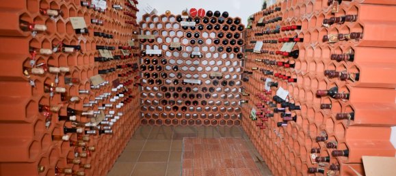 Casa de 6 dormitorios en Torre del Bierzo, Spain No. 95079 34