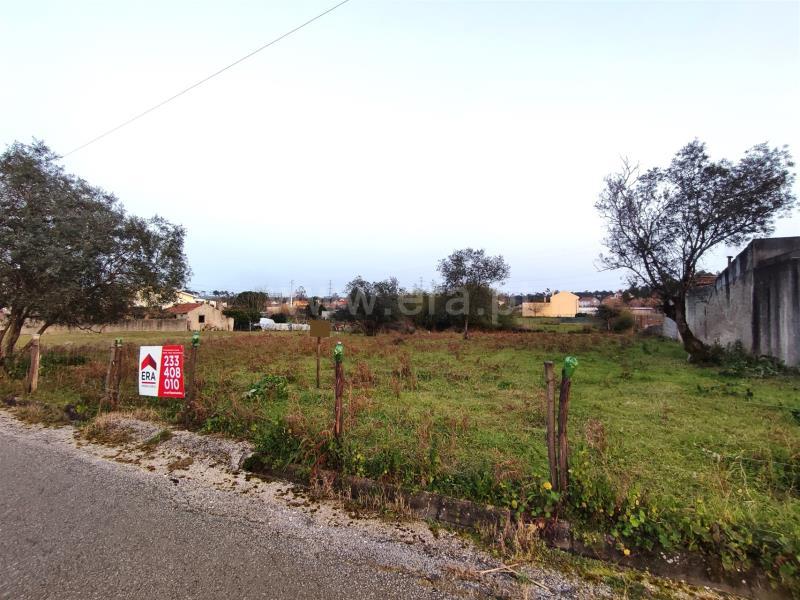 1000m² Land in Ferreira a Nova, Portugal No. 256435