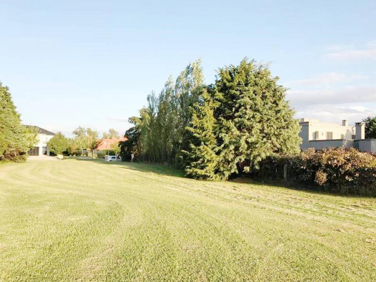  Land in Cordoba, Argentina No. 43077