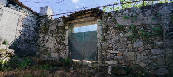 4 Schlafzimmer Haus in Vilela, Portugal, Nr. 160969 34