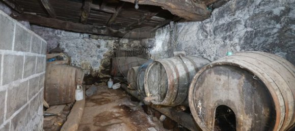 4 Schlafzimmer Haus in Vilela, Portugal, Nr. 160969 36