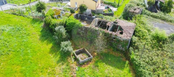 4 Schlafzimmer Haus in Vilela, Portugal, Nr. 160969 13