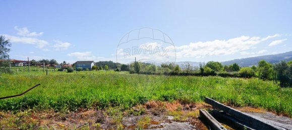 4 Schlafzimmer Haus in Vilela, Portugal, Nr. 160969 44