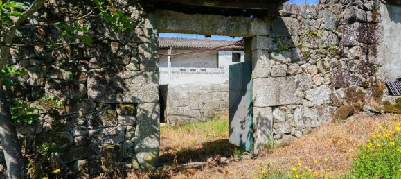 4 Schlafzimmer Haus in Vilela, Portugal, Nr. 160969 45