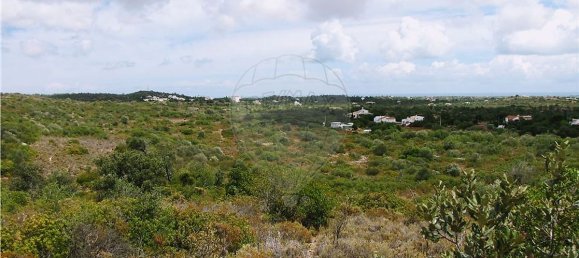 7740m² Land in Olhao, Portugal No. 54967 3