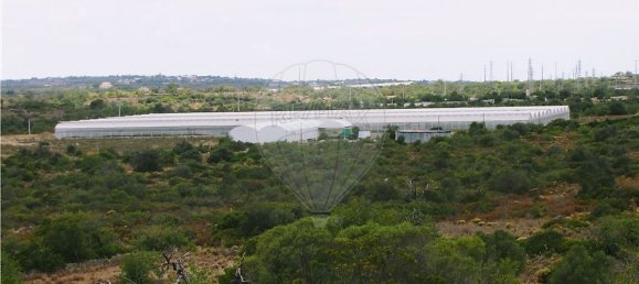 7740m² Land in Olhao, Portugal No. 54967 4