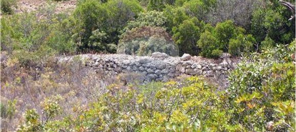 7740m² Land in Olhao, Portugal No. 54967 5