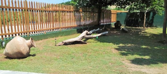 Propiedad de 2 dormitorios en Thasos, Greece No. 5586 12