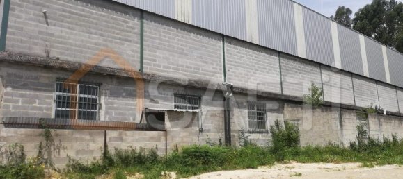 Lagerhaus in Sever do Vouga, Portugal 1000m², Nr. 60886 4