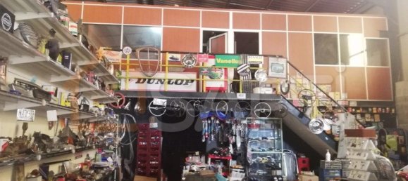 Lagerhaus in Sever do Vouga, Portugal 1000m², Nr. 60886 3