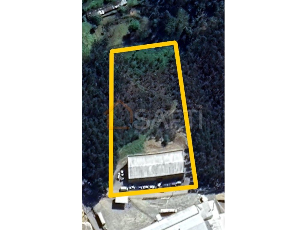 Lagerhaus in Sever do Vouga, Portugal 1000m², Nr. 60886