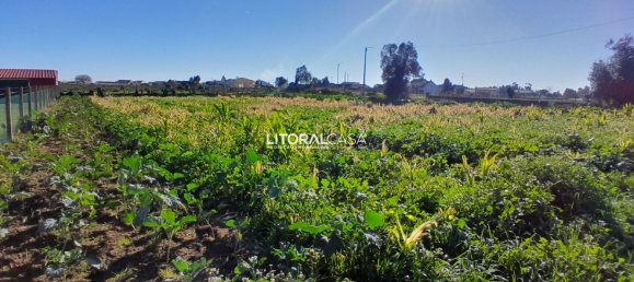 Terreno en Aveiro, Portugal 1856 m² No. 151149 14