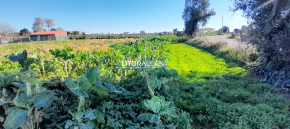 Terreno en Aveiro, Portugal 1856 m² No. 151149 13