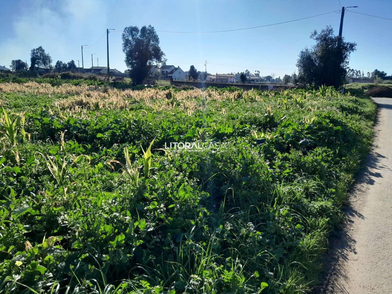 Terreno en Aveiro, Portugal 1856 m² No. 151149