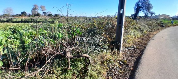 Terreno en Aveiro, Portugal 1856 m² No. 151149 5