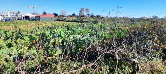 Terreno en Aveiro, Portugal 1856 m² No. 151149 6