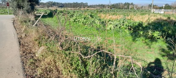 Terreno en Aveiro, Portugal 1856 m² No. 151149 4