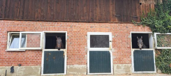 Ферма с 8 комнатами в Дингольфинг-Ландау, Германия № 353444 14