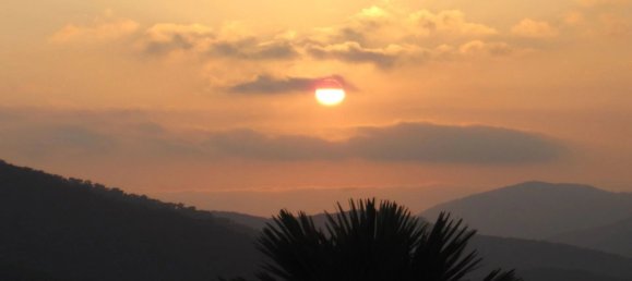 Propiedad comercial de 13 dormitorios en Le Lavandou, France No. 1989 24