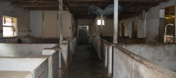 9-salle Ferme à Diepholz, Germany No. 371252 27