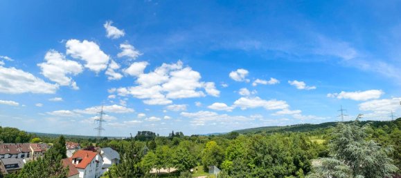 2 غرف نوم بانتهاوس في Rhein-Neckar-Kreis, Germany رقم 3754 8