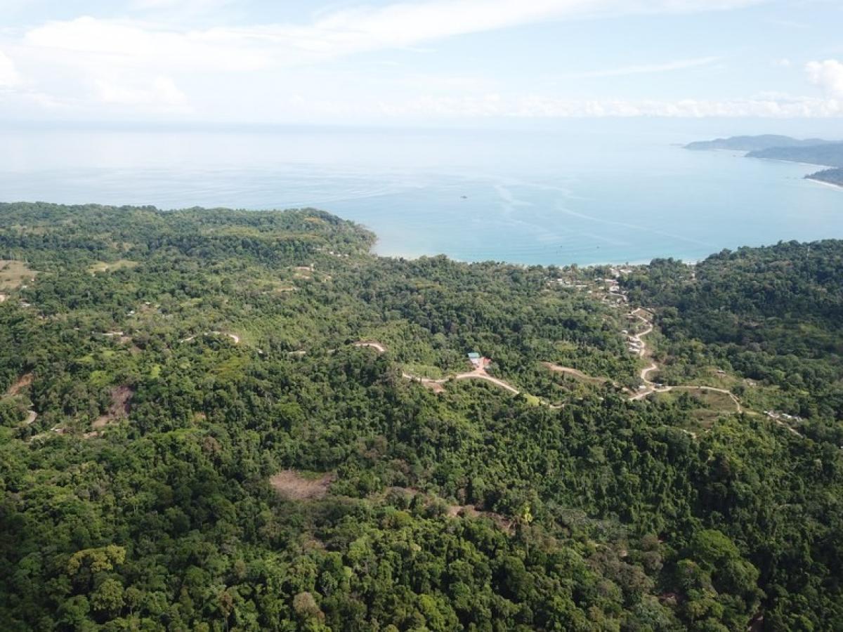 Land for sale in Puerto Jimenez, Puntarenas, Costa Rica № 1867