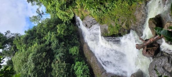 Land for sale in Puerto Jimenez, Puntarenas, Costa Rica № 1867 3